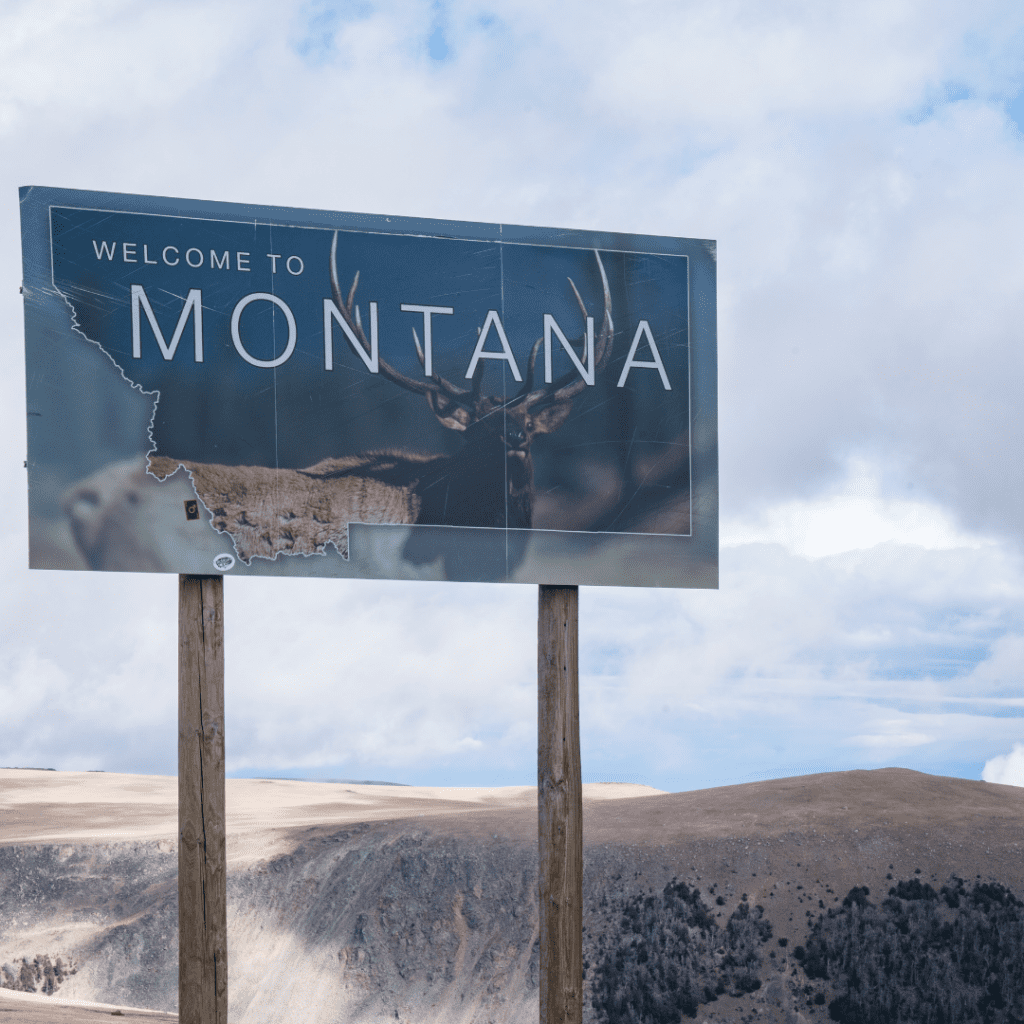 Montana state image