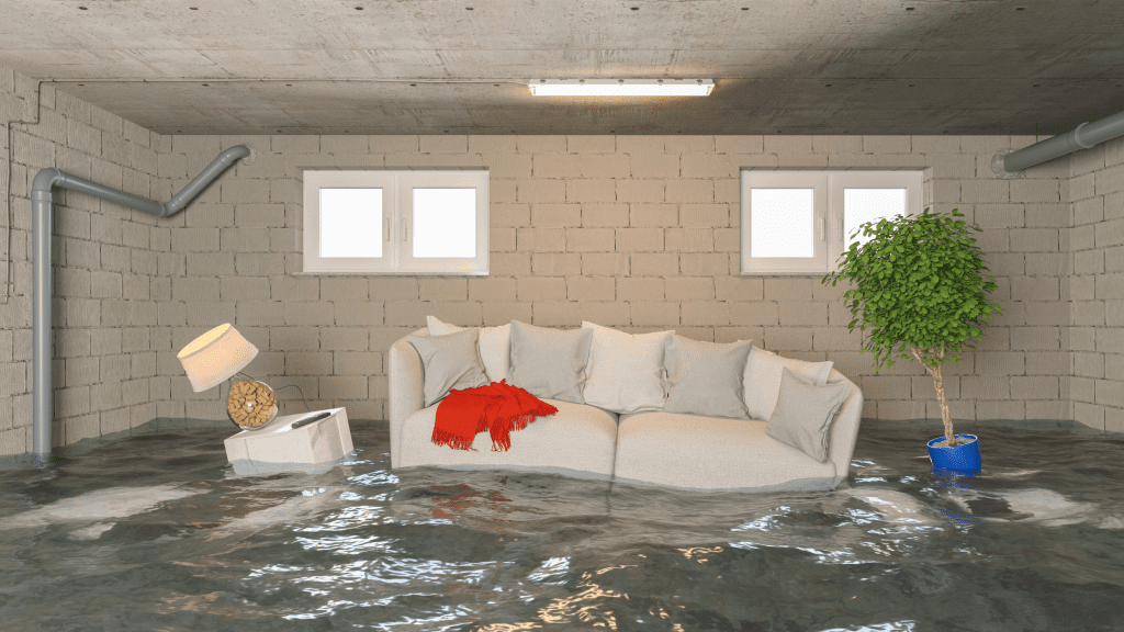 Solving Common Basement Moisture Problems blog banner